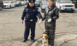 一边帮找狗，一边教养狗！南岗警方全力倡导“文明养犬”
