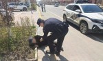 有“警”无险！老人街头摔倒，民警全程护送就医