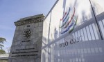 所谓“对等关税”是“开错方、吃错药” 中方在世贸组织发言引发广泛呼应